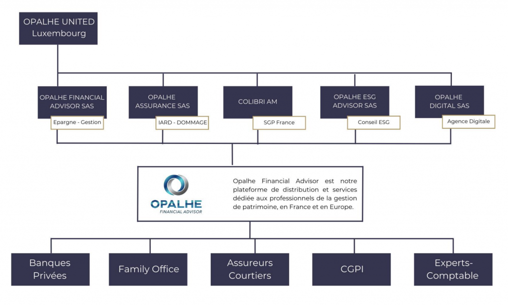 Groupe Opalhe : une plateforme pour favoriser l'émergence d'une finance plus responsable