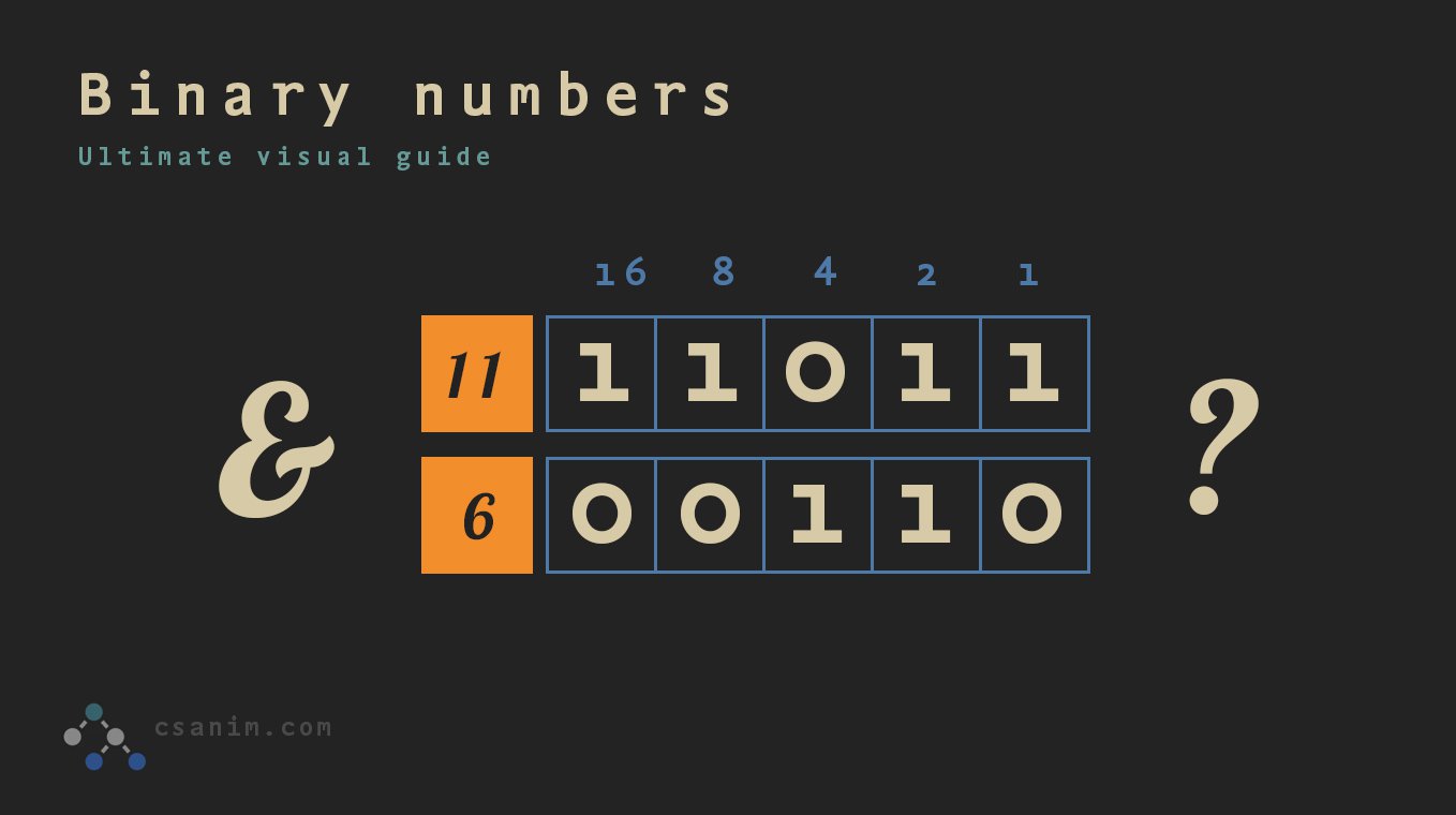 binary numbers