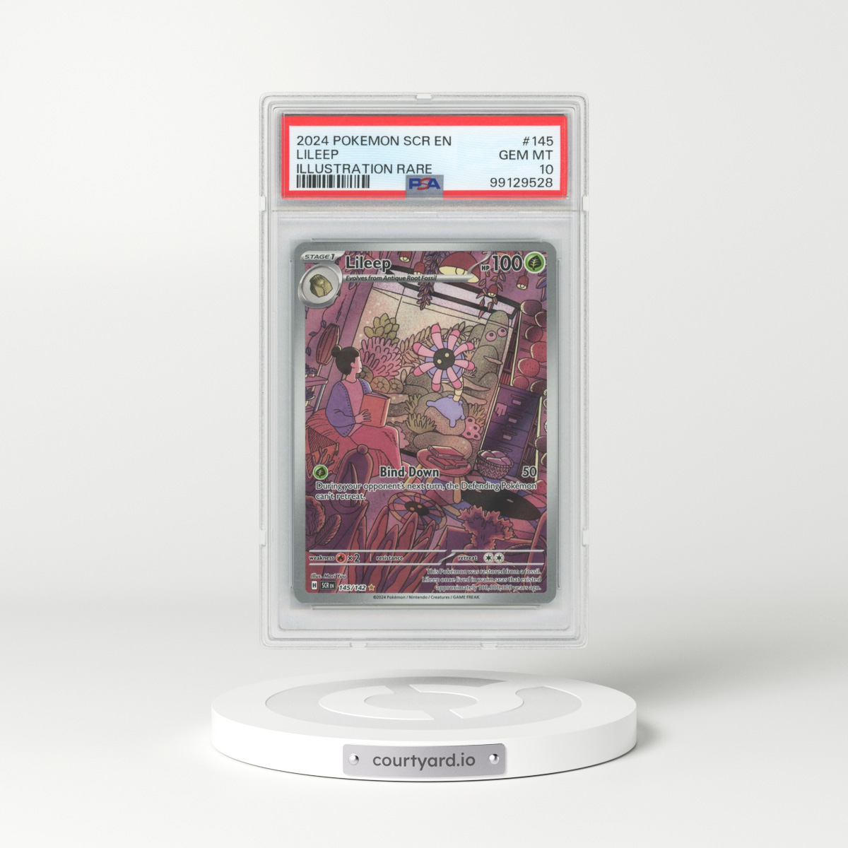 2024 Pokémon Scr EN-Stellar Crown #145 Lileep - Illustration Rare (PSA 10 GEM MINT)