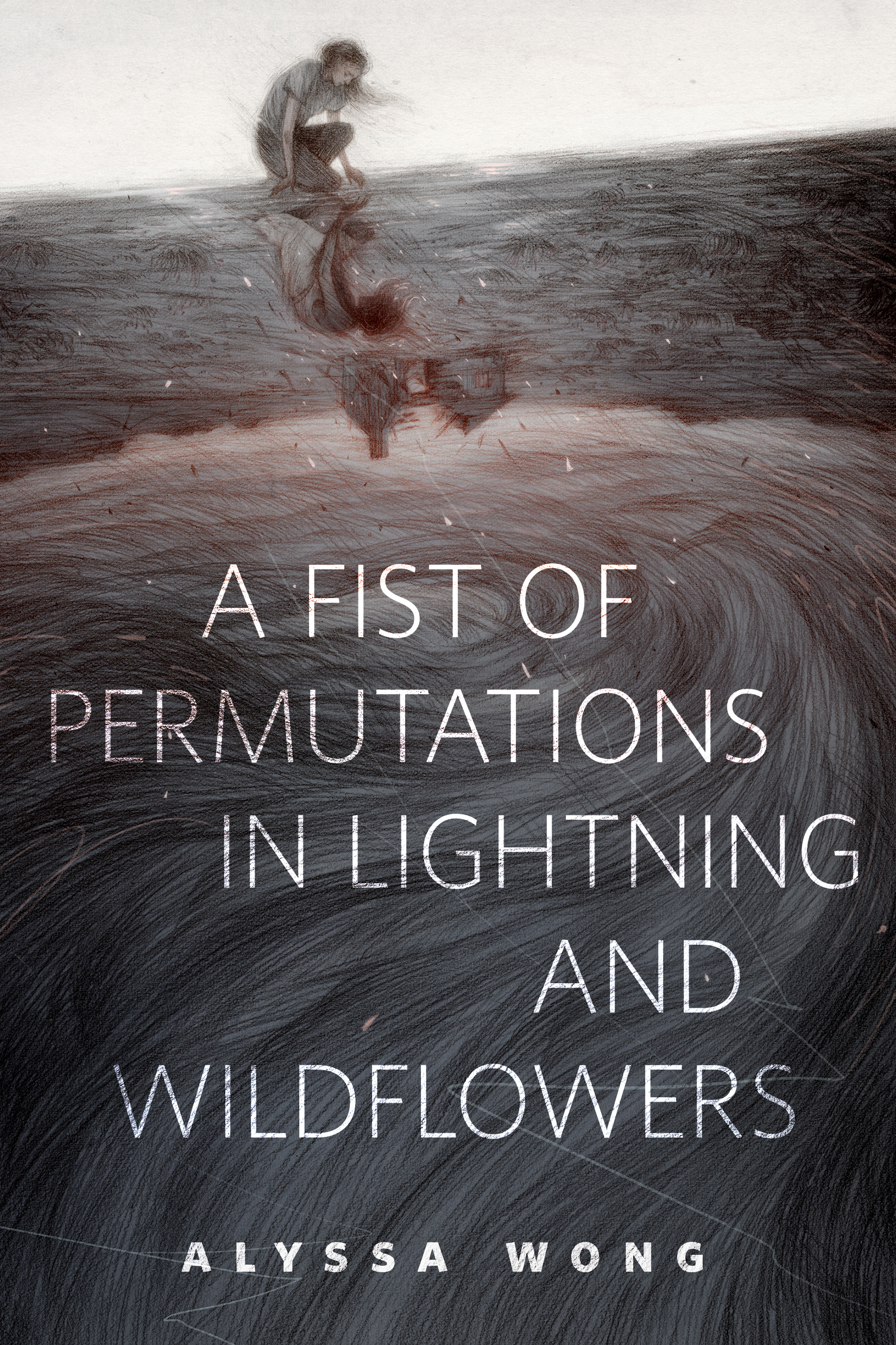 A Fist of Permutations in Lightning and Wildflowers Cover