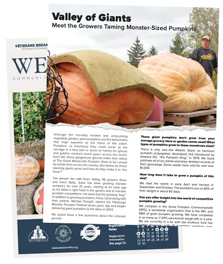 October Guide 2024 Article