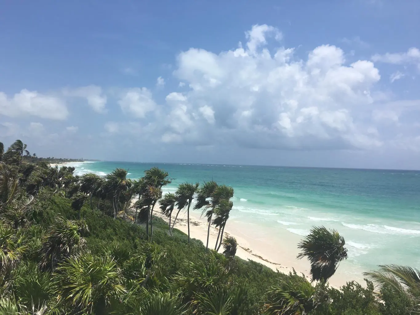 Lot / Land For Sale In Tulum [7760]