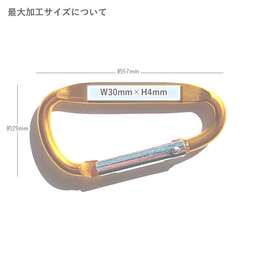 Laser Carabiner カラビナ (5個セット) (品番LCC-5)