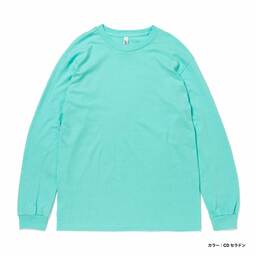 American Apparel アメリカンアパレル 6.0oz 長袖Tシャツ (品番 AAPP-T1304)