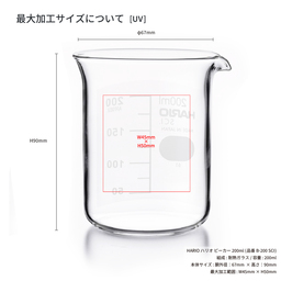 HARIO ハリオ ビーカー 200ml (品番B-200_SCI)