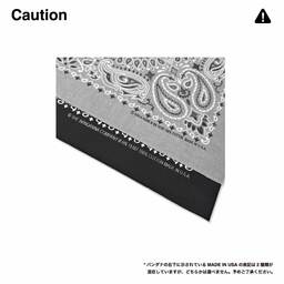 HAV-A-HANK 22 inch Paisley Pattern Bandanas (Set of 12) (#BAND-M0001)