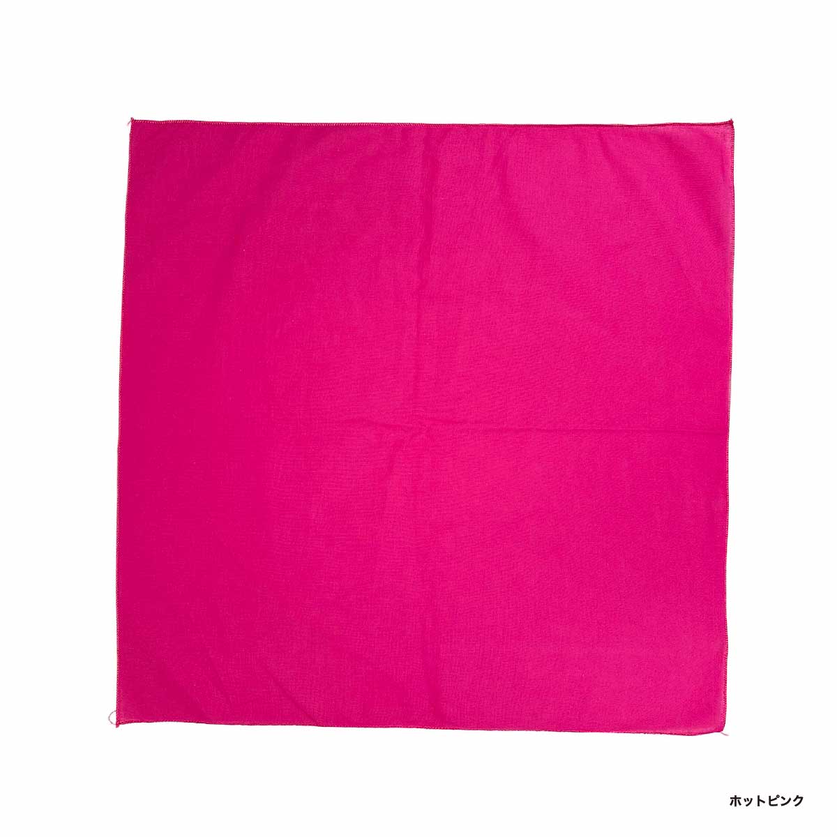 HAV-A-HANK ハバハンク 22 inch ワイドプリントバンダナ (12枚セット) (品番BAND-M4800)