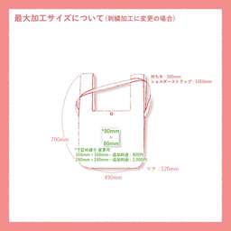 TRUSS トラス リップショルダー マルシェバッグ (品番RMB-301)
