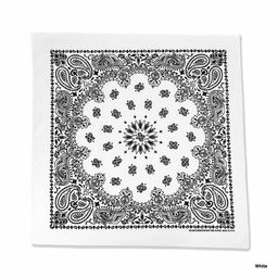 HAV-A-HANK 22 inch Paisley Pattern Bandanas (Set of 12) (#BAND-M0001)