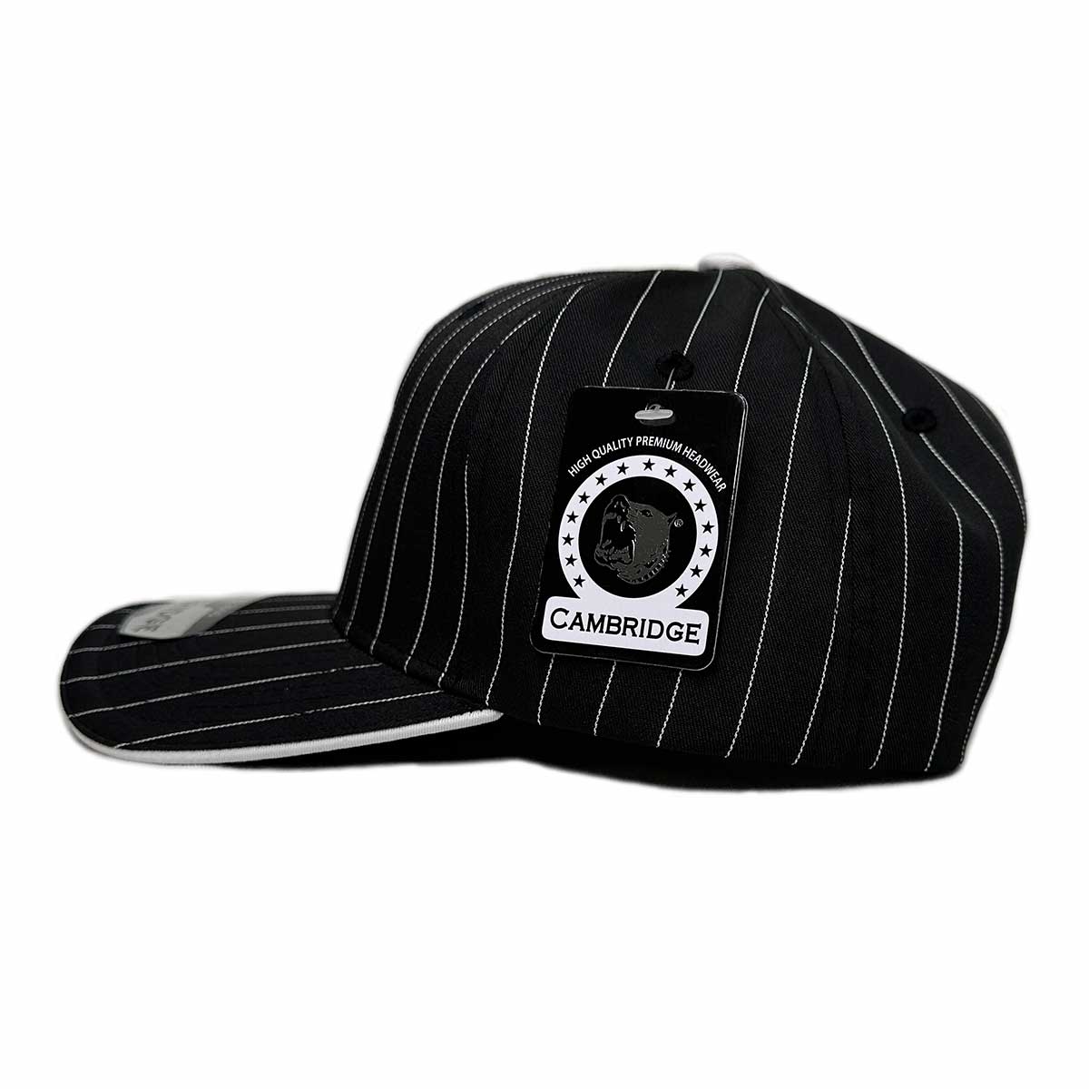 PITBULL ピットブル 6-Panel Pinstripe Snapback Hat (品番PB327-O)