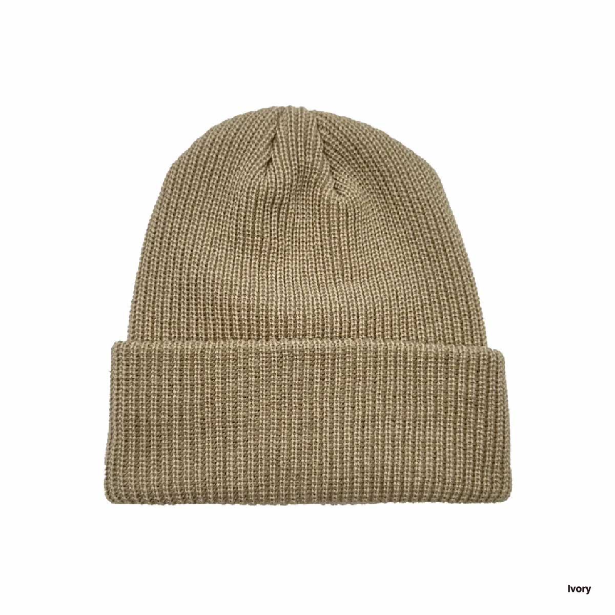 Beaniiez ビーニーズ Tofino トフィーノ アクリルニットキャップ (品番Tofino-Z)