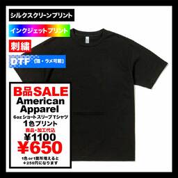 【B品SALE】American Apparel アメリカンアパレル 6.0oz ショートスリーブTシャツ (品番AAPP-T1301_IQ)