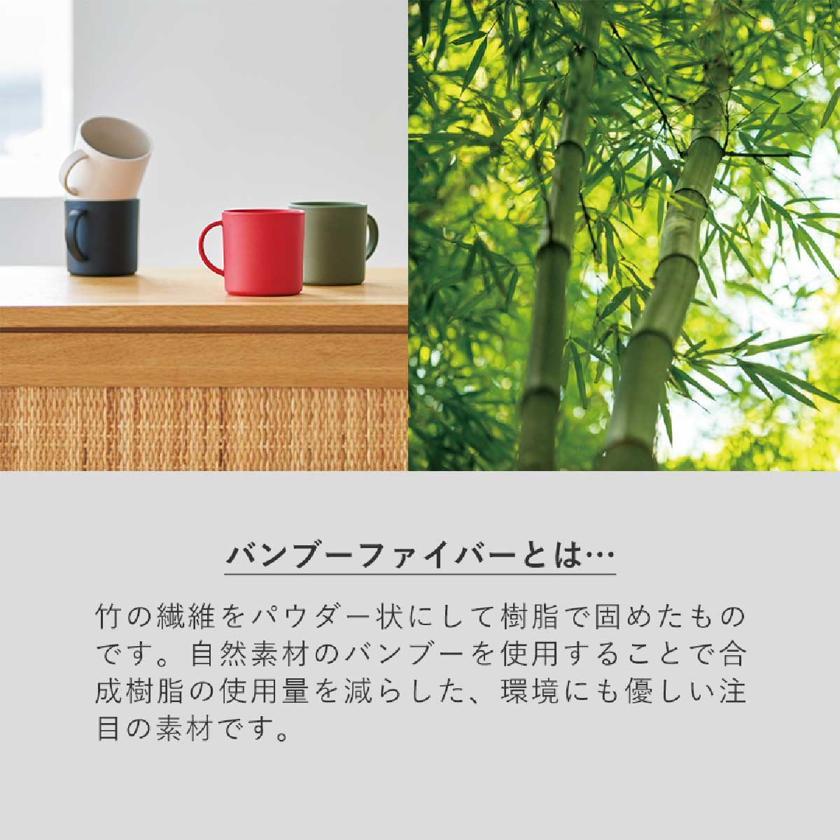 ダブルウォールタンブラー (品番TS-1697)  