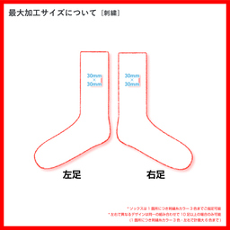 メンズ オリジナル ラメ カジュアルソックス (品番CPWS-013)