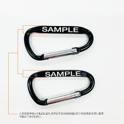 Laser Carabiner カラビナ (5個セット) (品番LCC-5)