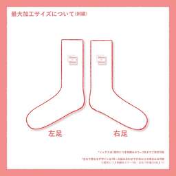 ウィメンズ オリジナル プリント/刺繍スポーツソックス (品番CPWS-005)