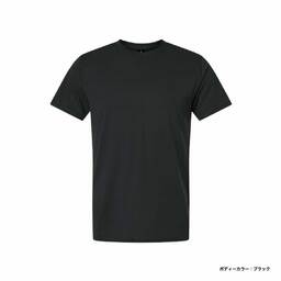 GILDAN ギルダン 4.5 oz ポリエステル100%Tシャツ (品番4200)