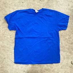 古着BIGTシャツ 詰め合わせ (50枚パック) (品番OC-BBP)