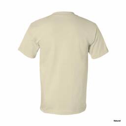 BAYSIDE ベイサイド 6.1 oz USA-Made Short Sleeve Tシャツ (品番5100)