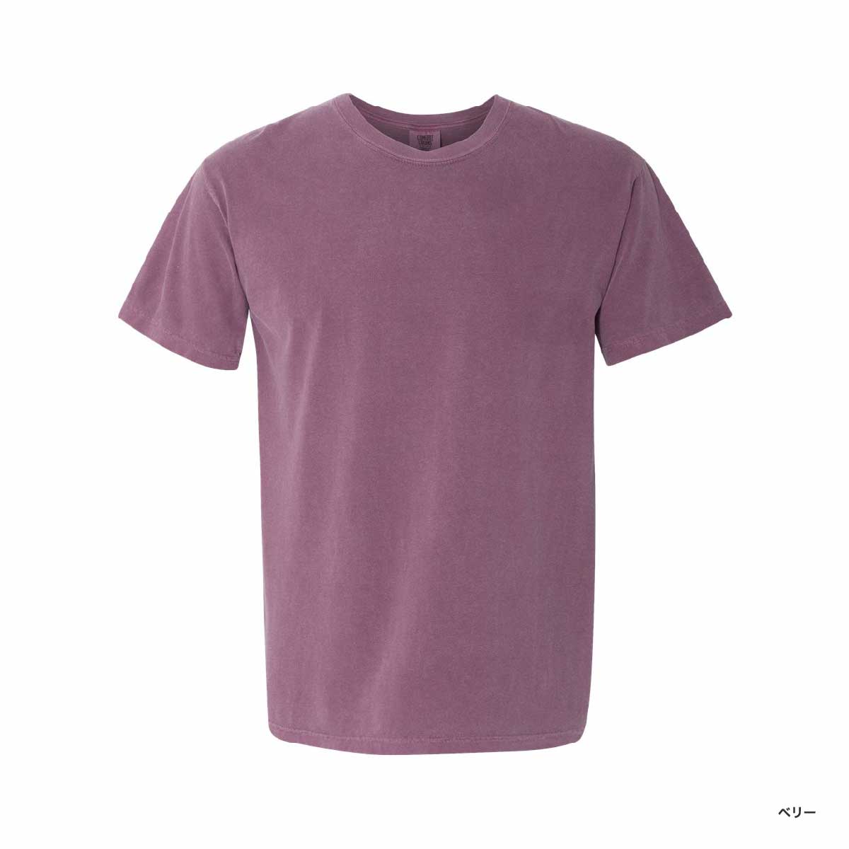 Comfort Colors 6.1 oz Garment Dye T-Shirt (#1717)