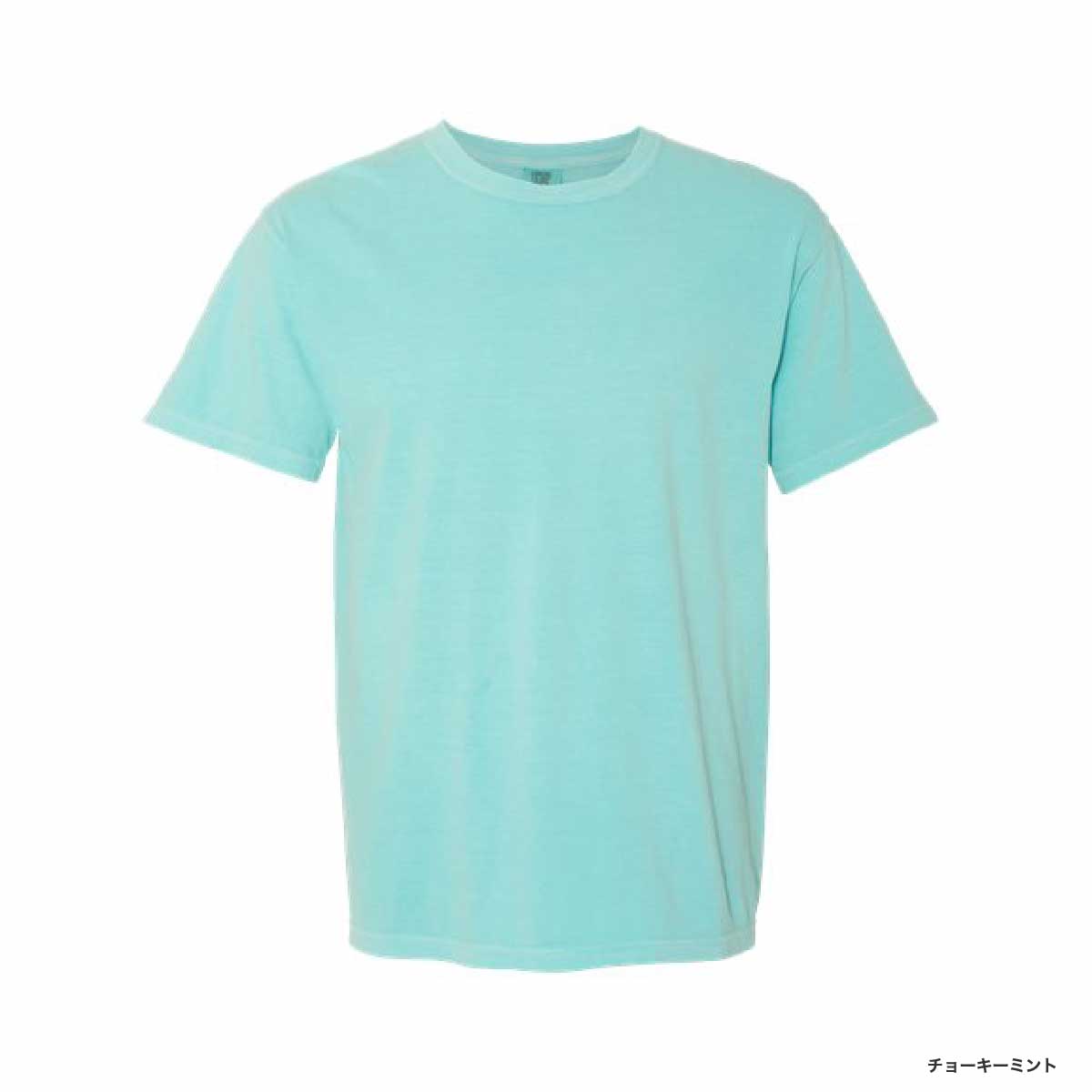 Comfort Colors 6.1 oz Garment Dye T-Shirt (#1717)