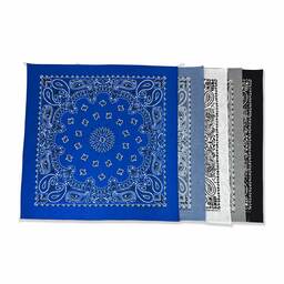 HAV-A-HANK 22 inch Paisley Pattern Bandanas (Set of 12) (#BAND-M0001)