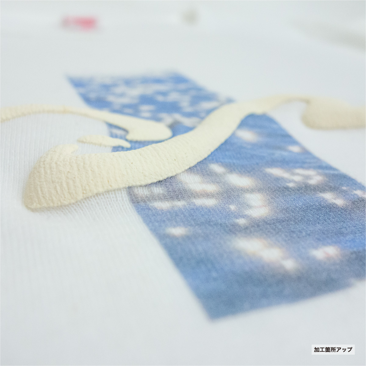 クロップド L/S Tシャツ (品番CPCLST-DM4510)