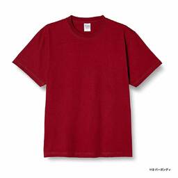 Printstar 7.4 oz Super Heavyweight T-Shirt (#00148-HVT)