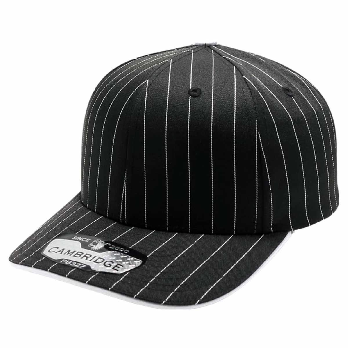 PITBULL ピットブル 6-Panel Pinstripe Snapback Hat (品番PB327-O)