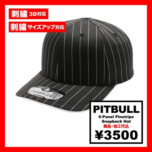 PITBULL ピットブル 6-Panel Pinstripe Snapback Hat (品番PB327-O)