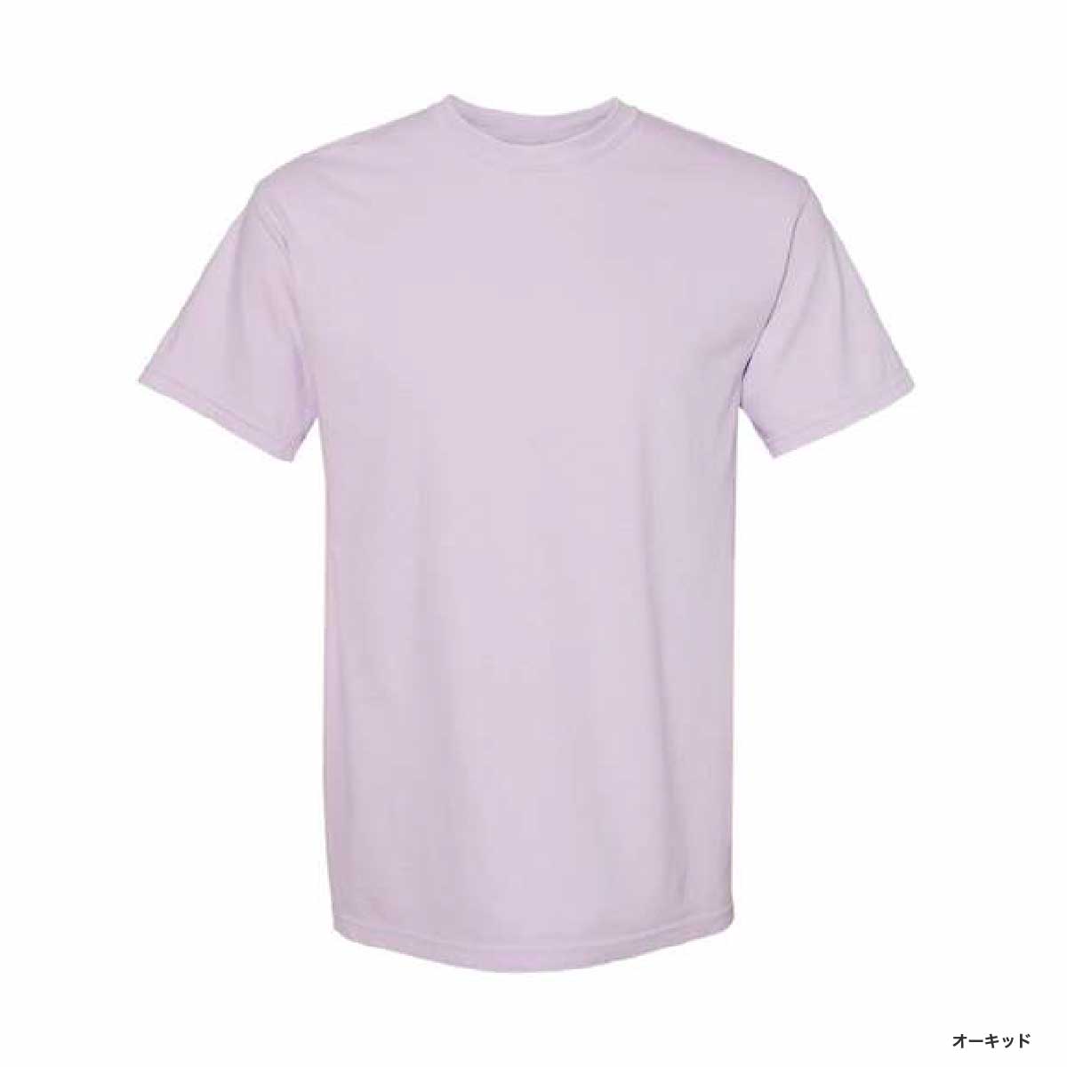 Comfort Colors 6.1 oz Garment Dye T-Shirt (#1717)