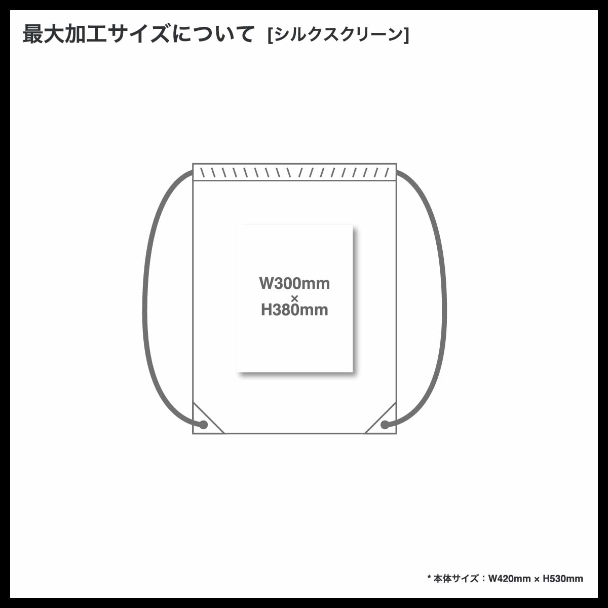 Printstar プリントスター ランドリーバッグ (ナップサック) (品番00786-LBG)