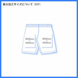 TRUSS トラス バーサタイルナイロンショーツ (品番NSV-505)