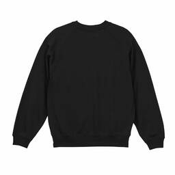 United Athle ユナイテッドアスレ 10.0 oz ラグランスリーブ クルーネック スウェット (裏パイル) (品番5242-01)
