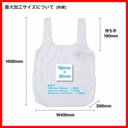TRUSS トラス ナイロン ポケッタブルバッグ (品番NPE-310)