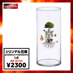 blumenkorb geflochten Vase - Flower Vase - Glass Vase - Decorative Bowls Lieferumfang:2er-Set