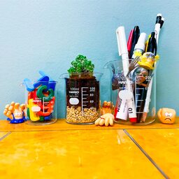 HARIO ハリオ ビーカー 200ml (品番B-200_SCI)