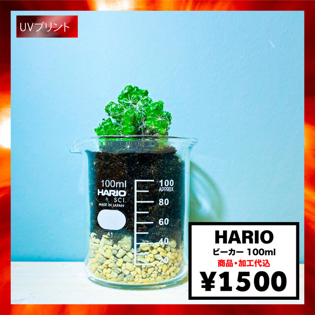 HARIO ハリオ ビーカー 100ml (品番B-100_SCI)