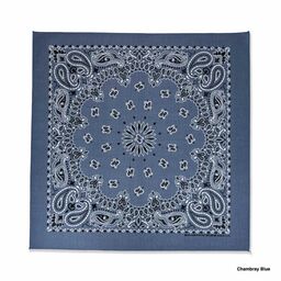 HAV-A-HANK 22 inch Paisley Pattern Bandanas (Set of 12) (#BAND-M0001)
