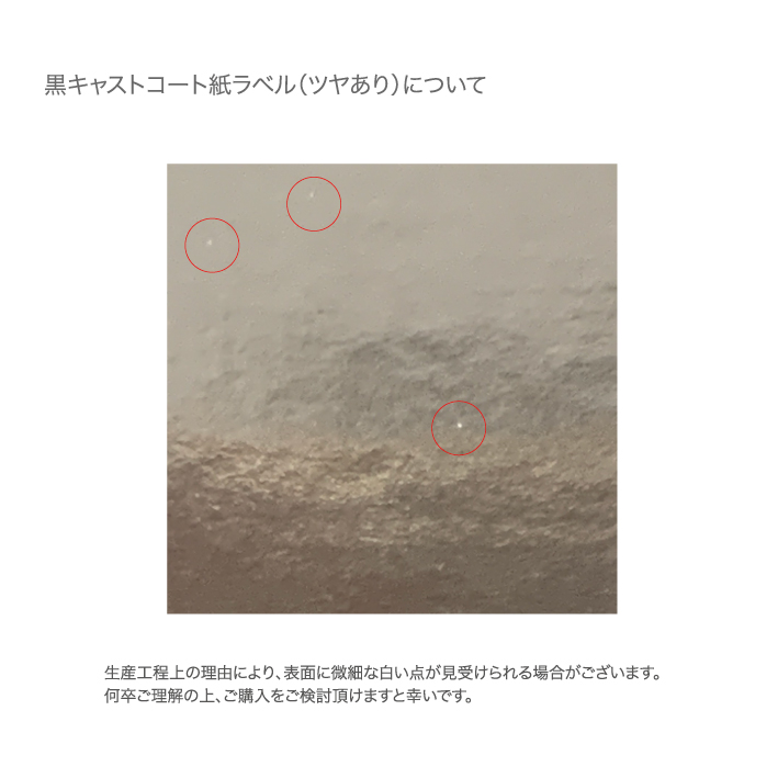 フルカラーステッカー (10枚セット) (品番STI-10S) 
