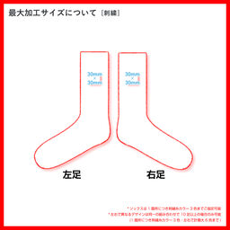 メンズ オリジナル カジュアルカラーソックス (品番CPWS-011)