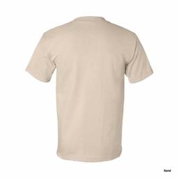 BAYSIDE ベイサイド 6.1 oz USA-Made Short Sleeve Tシャツ (品番5100)