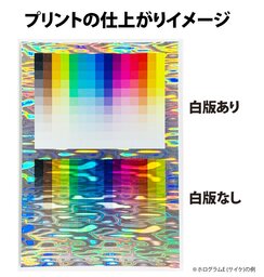 フルカラーステッカー (10枚セット) (品番STI-10S)