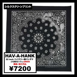 HAV-A-HANK ハバハンク 22 inch ペイズリー柄 バンダナ (12枚セット