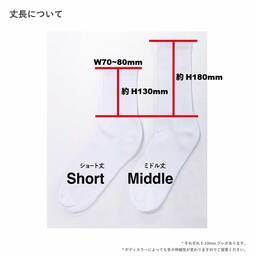 ウィメンズ オリジナル スポーツカラーソックス (品番CPWS-006)