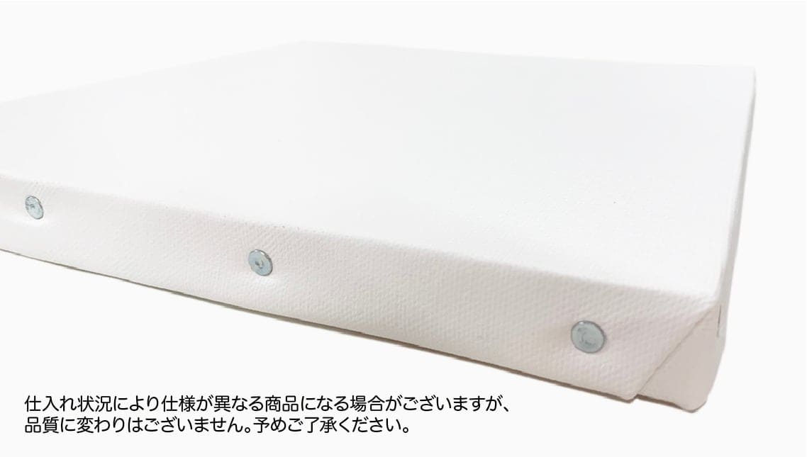 キャンバス 大 (6号) (品番E6028_41)