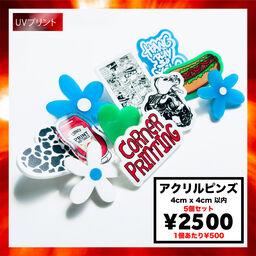 アクリルピンズ (4cm x 4cm以内) (5個セット) (品番ACR-P04)