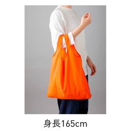 TRUSS トラス ナイロン ポケッタブルバッグ (品番NPE-310)