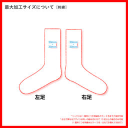 メンズ オリジナル ラメ カジュアルソックス (品番CPWS-013)
