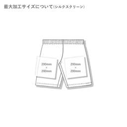 TRUSS トラス バーサタイルナイロンショーツ (品番NSV-505)
